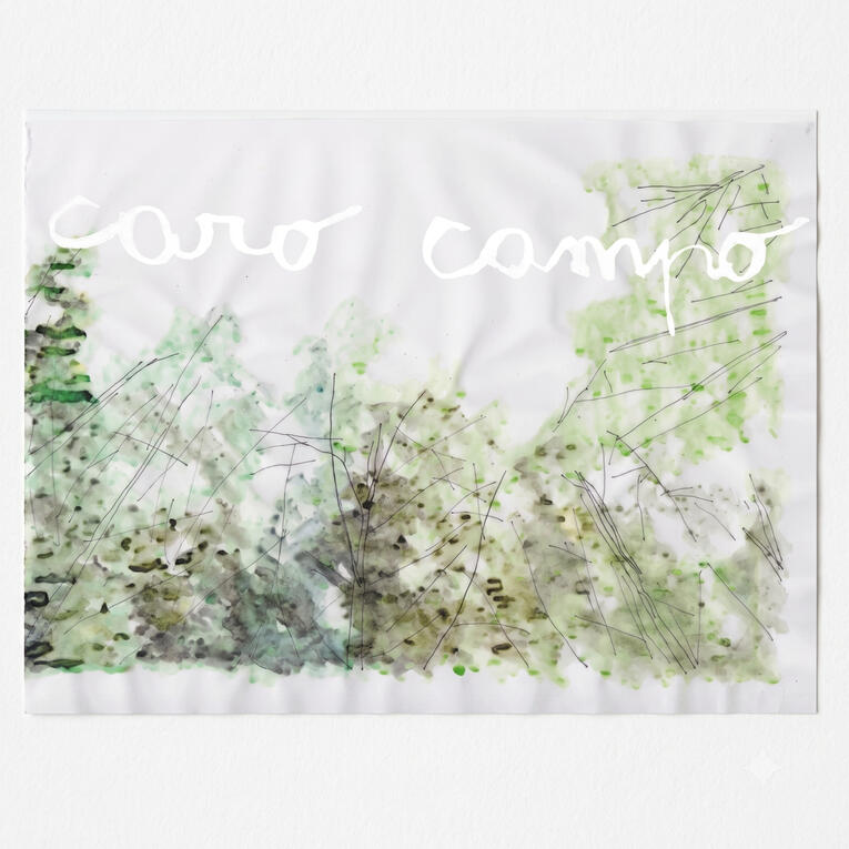 Caro Campo Matteo Paba. Composition and Sound design for a documentary about an Italian artist living in a woodland